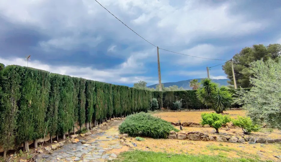 Adecuación de áreas verdes en Valencia